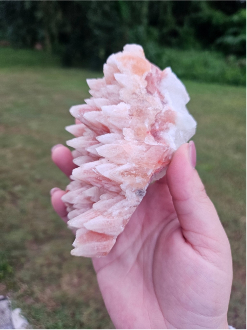 Pink calcite dog tooth specimen 4.5 in